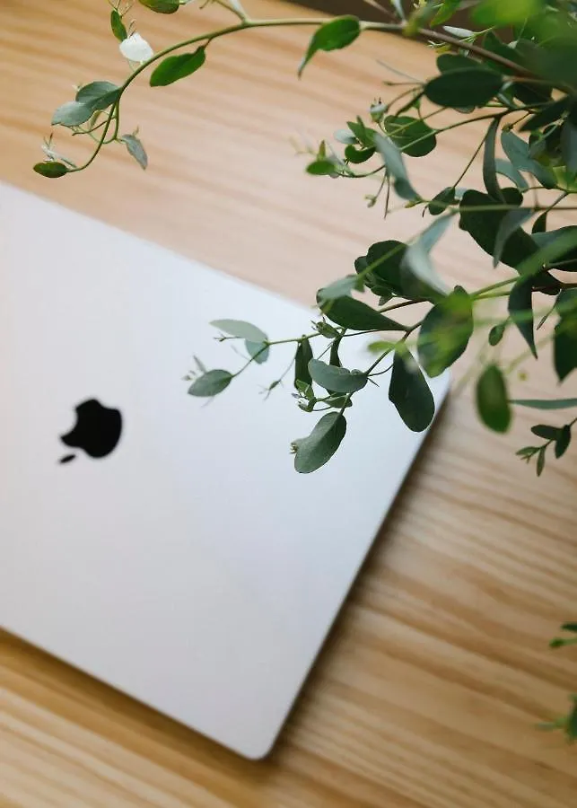 Home2Book Design Studio In Santa Cruz Center 아파트 산타크루스데 테네리페